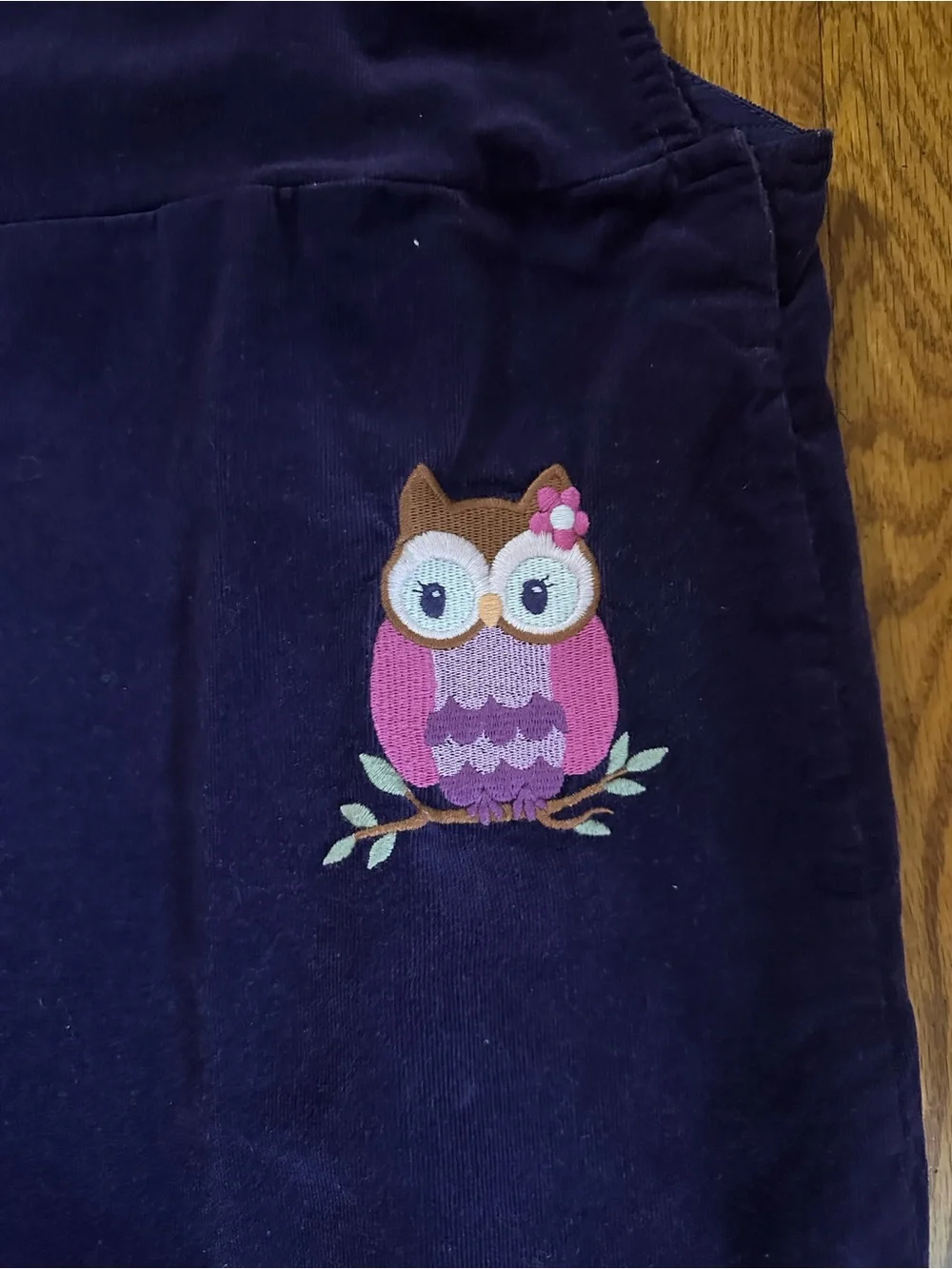 Gymboree dark purple Corduroy Overall Dress with Pink Owl Pockets